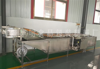 果蔬氣泡清洗機