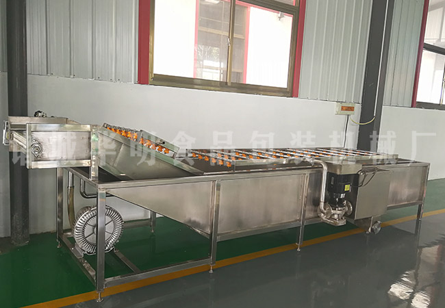 果蔬氣泡清洗機